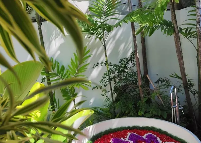 Senara Villa Canggu